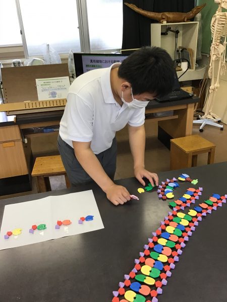 生物の様子
