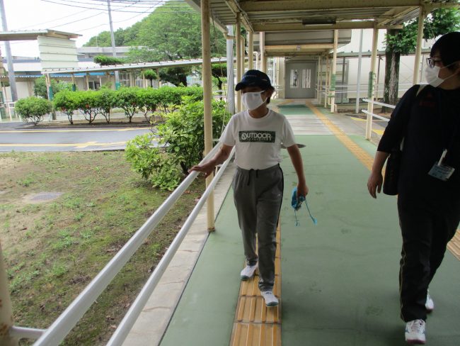 歩行の様子