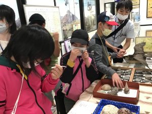 剥製や化石を手に取り観察する児童たち。